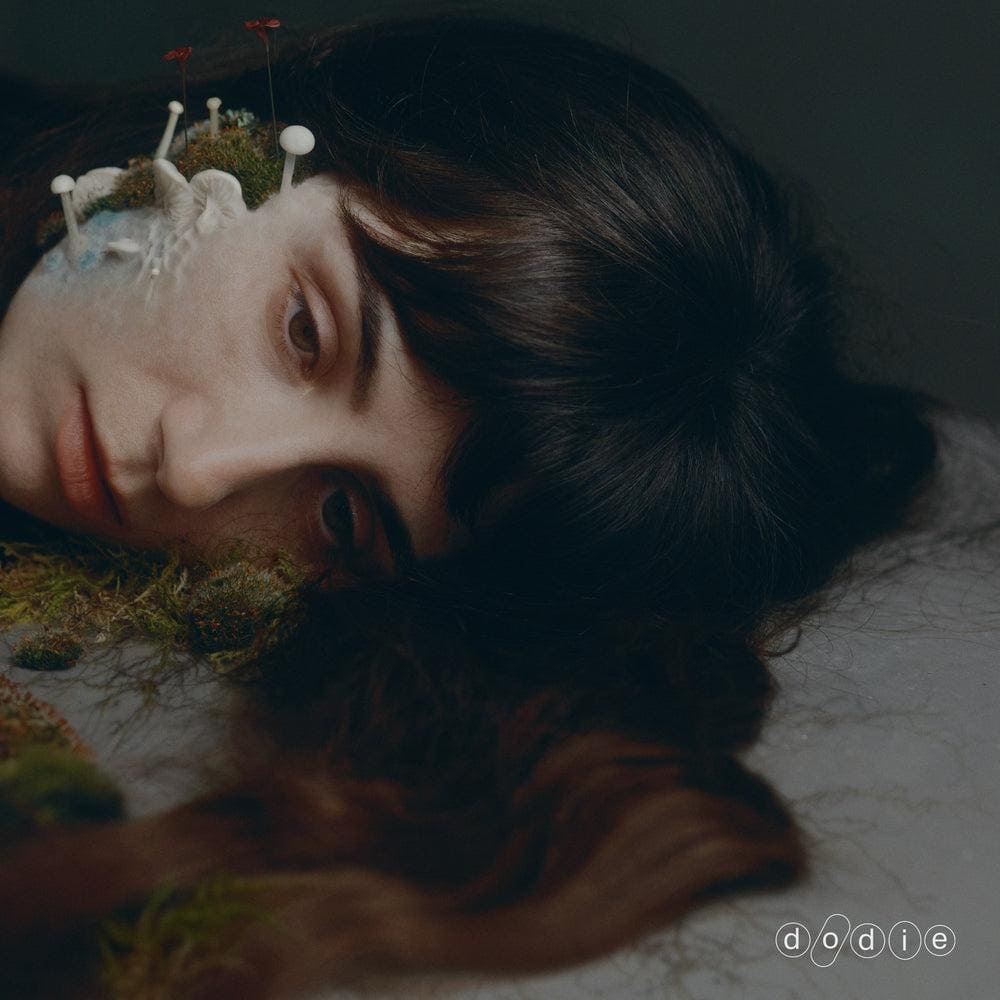 dodie - Not For Lack of Trying